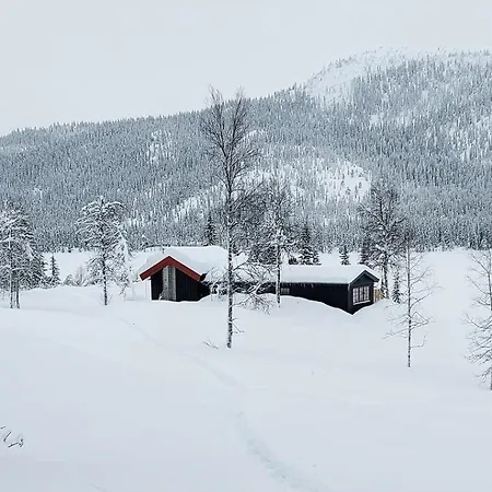 بيت للعطل Large Secluded With And View In Valdres فاجيرنز